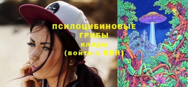 ешки Белокуриха