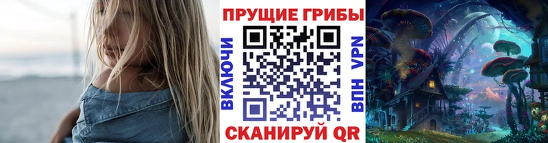Псилоцибиновые грибы Psilocybine cubensis  Катайск 