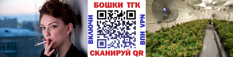 Марихуана сатива  Катайск 